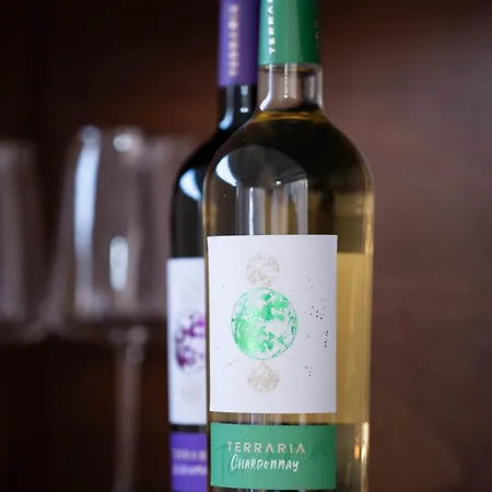 Apartment Amare Luxury And Vista Mare *